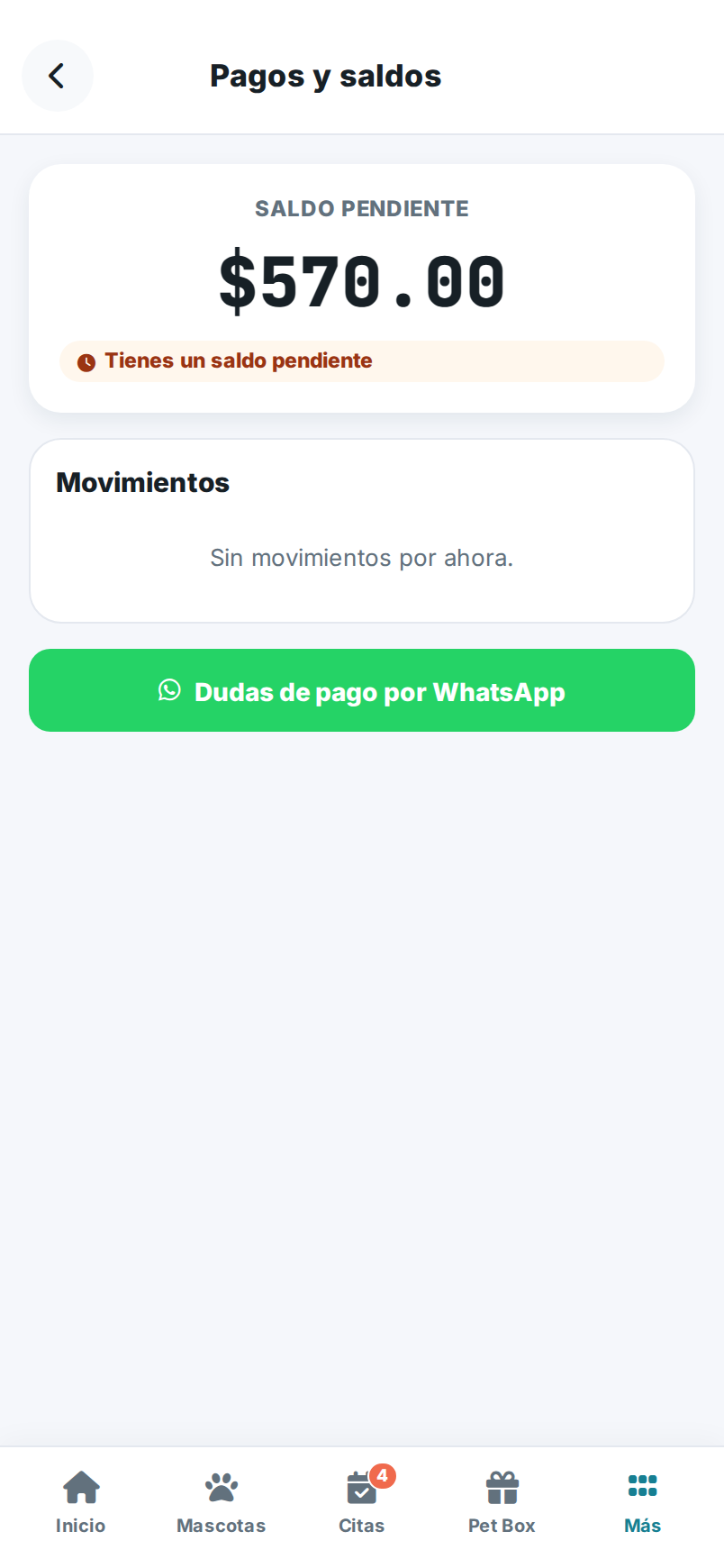 Pantalla de Pagos y saldos en la app, con el saldo pendiente y los movimientos.